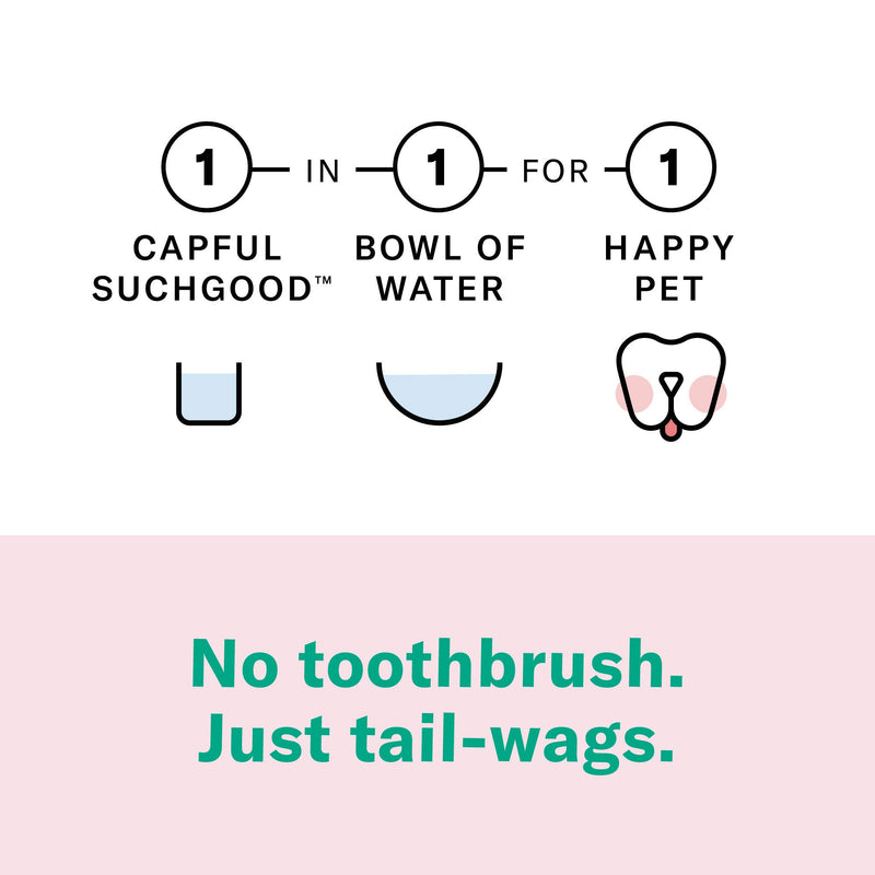 Suchgood Gentle Natural Water Additive for Pets | Easy Brushless Dental Care for Sensitive Dogs and Cats | Made in The USA with Premium Ingredients for Whole Mouth Health - PawsPlanet Australia