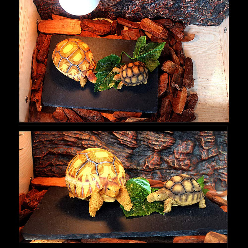 Reptile Basking Platform Tortoise Rock Plate Turtle Bathing Area Feeding Food Dish Resting Terrace 1PCS - PawsPlanet Australia