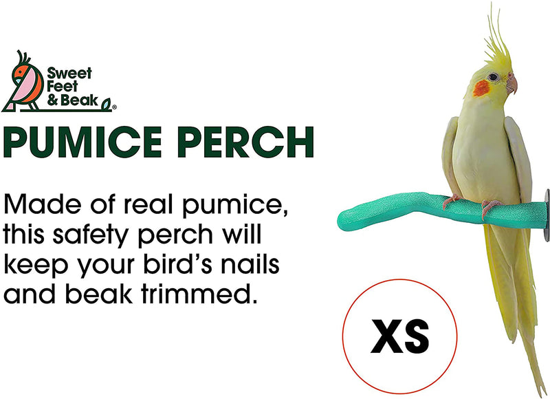 Sweet Feet and Beak Safety Pumice Perch for Birds Features Real Pumice to Trim Nails and Beak and Promote Healthy Feet - Safe and Non-Toxic, for Bird Cages X-Small 6" Green - PawsPlanet Australia