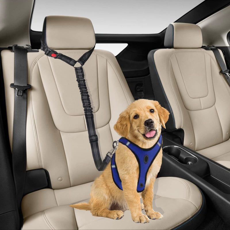 Dog Safety Harness - Seat Belt Dog Car for Small Dogs Medium Dogs Puppy Accessories (Black) Black - PawsPlanet Australia