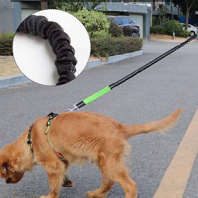 Jogging leash for dogs - hands-free leash with belt bag, 120 cm to 150 cm adjustable and with reflective seams hip belt bungee leash, for large medium dogs running, jogging, hiking - PawsPlanet Australia