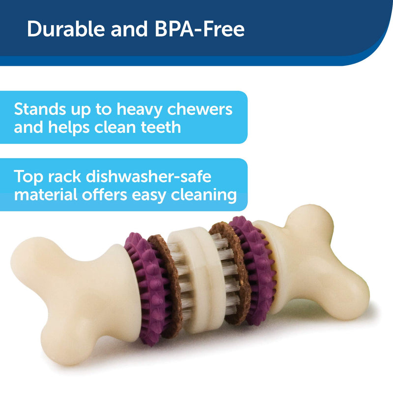 [Australia] - PetSafe Busy Buddy Bristle Bone Chew Toy for Dogs – Strong Chewers – Helps Clean Teeth – Extra Small, Small, Medium, Large 