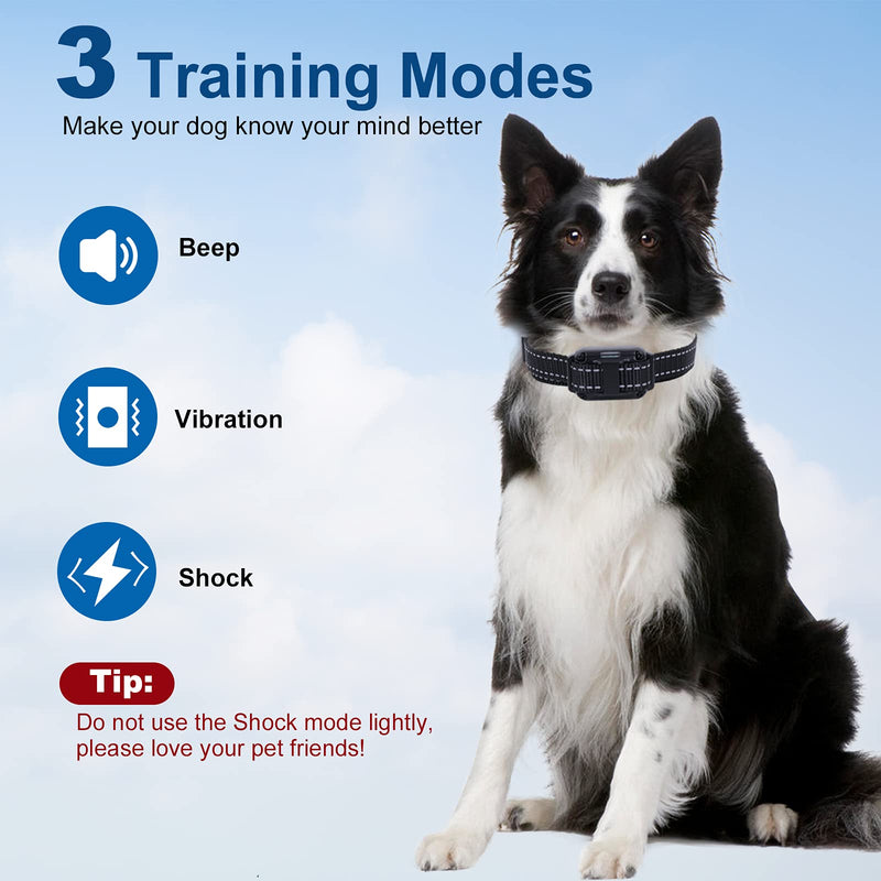 MAXLAPTER Remote Dog Rechargeable Training Collar Large Acceptance Range E-Collar with Static Vibrate and Tone Dog Shock Waterproof Collar for Medium Large Dogs - PawsPlanet Australia