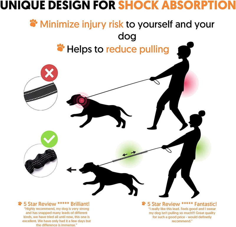 Ezee Paws No Pull Dog Lead, Strong Anti Pull Bungee Dog Leash, Padded Handle, D-ring for Dog Accessories, Reflective Stitching and Traffic Handle - PawsPlanet Australia