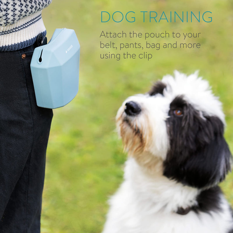 Navaris Silicone Dog Treat Pouches (Set of 2) - Dog Treat Pouch Holder Bag with Clip for Training, Treats, Leash - Polyhedron Design - Blue and Gray - PawsPlanet Australia