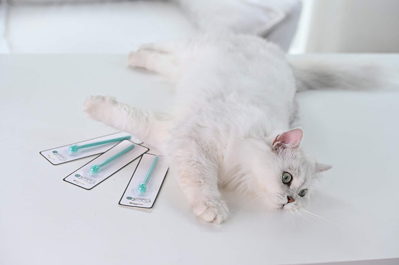 Heartsetpet Soft Cat Toothbrush 1 Pack Mint Green - PawsPlanet Australia