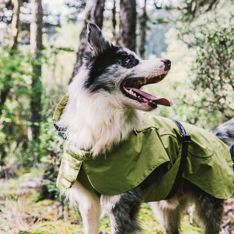 Tellpet Dog Jacket Waterproof Dog Raincoat, Reflective Dog Jacket S(Chest:21.5-25.5",Back Length:14") Green - PawsPlanet Australia