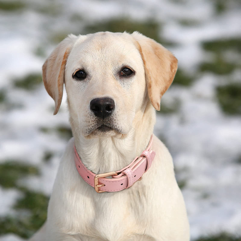 JASGOOD Leather Dog Collar for Small Medium Large Dog Adjustable Soft Breathable Leather Padded Puppy Collar Heavy Duty Waterproof Classic Dog Pet Collar, Pink, XS XS:Neck 8.85"-12.79",Width 0.6" A-Pink - PawsPlanet Australia