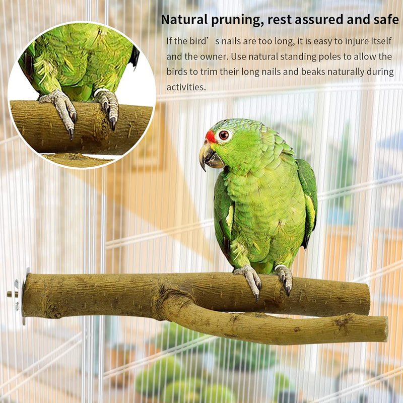 DGSL Bird Perch Stand, Natural Wood Parrot Perch Bird Cage Accessories for Parrotlets Budgies Cockatiels Parakeets Lovebirds 2, 9.8 inch - PawsPlanet Australia