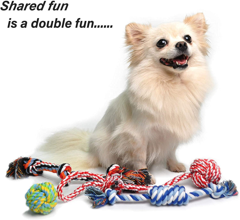 Fida Dog Rope Toys 4 Pack, Puppy Teething Sturdy Cotton Chew Tug Ropes Indoor/Outdoor, Exercise Interactive Tug O'War Toys Set for Boredom Small-Meidum Dogs - PawsPlanet Australia