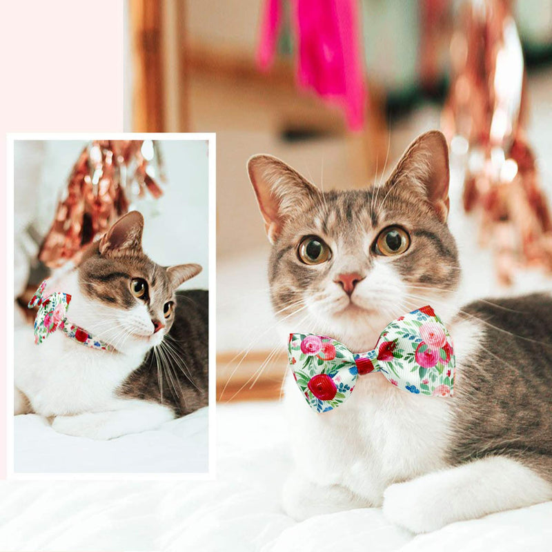 Pohshido 2 Pack Cat Collar with Bow Tie and Bell, Kitty Kitten Floral Rose Breakaway Collar for Males Females Boys and Girls Cats Rose Garden Black / Blush Pink - PawsPlanet Australia