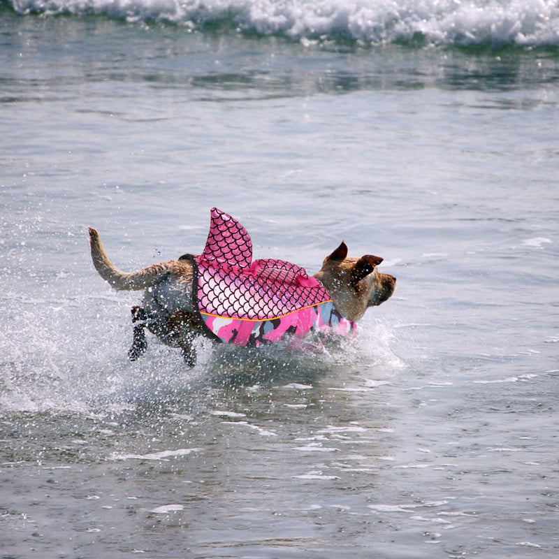 ASENKU Dog Life Jackets, Ripstop Pet Floatation Life Vest for Small, Medium, Large Size Dogs, Dog Lifesaver Preserver Swimsuit for Water Safety at The Pool, Beach, Swimming, Boating (XL,Pink Shark) X-Large Camo Pink - PawsPlanet Australia