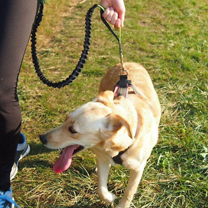 Greyoe jogging leash for dogs, jogging leash for dogs with waist belt, dog leash, hands-free running, hiking, webbing anti-crush 119-172cm, hip bag leash, sports running suit (black) black - PawsPlanet Australia