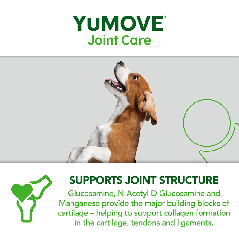 Lintbells YuMOVE Daily Bites For Young Dogs | Hip and Joint Supplement for Dogs to Support Active and Growing Joints for Dogs Aged Under 6 Years | 60 Chews, White 60 count - PawsPlanet Australia