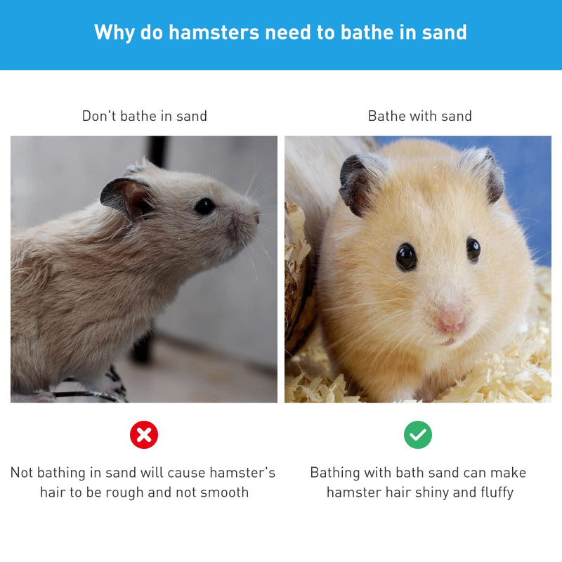 DAMPET 3 Pcs Hamster Sand Bath Set, Acrylic Small Animal's Sand Bath Shower Room with Natural Wood Cover, with Bath Sand and Sand Scoop Digging Sand Container for Hamster Gerbils or Other Small Pets Style1 - PawsPlanet Australia