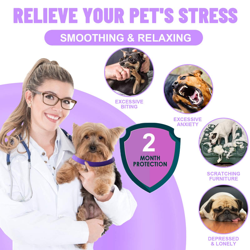 Banydoll Calming Collar for Dogs, Adjustable Waterproof Safe Pheromone Calm Collars, Anxiety Relief & Anti Stress Dog Collars with 60 Days Long Lasting Calming Effect for Large Middle and Small Dogs Purple-2 Packs - PawsPlanet Australia