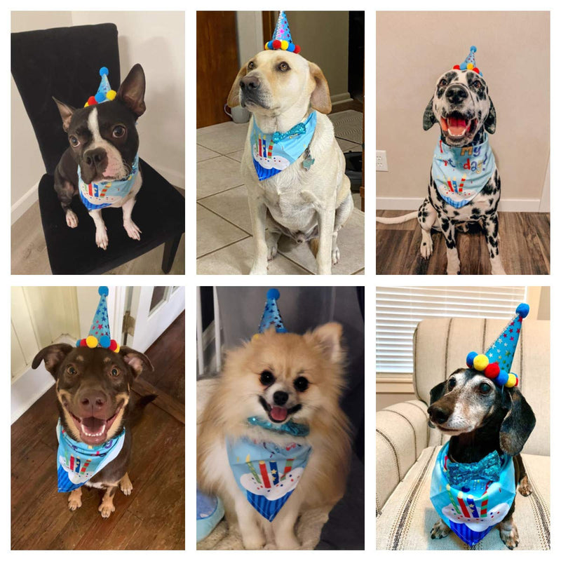 Dog Birthday Bandana Scarf and Dog Girl Boy Birthday Party Hat with Cute Dog Bow Tie Collar for Small Medium Dog Pet Large Blue - PawsPlanet Australia