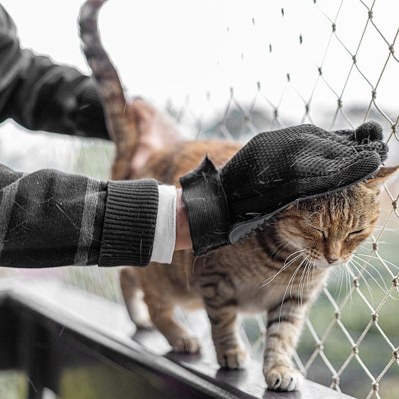 LABUYI 1 piece cat glove, cat brush glove, cat gloves, grooming glove, cat grooming glove, cat glove, cat glove, for dogs, cats, short hair, long hair (right hand) - PawsPlanet Australia
