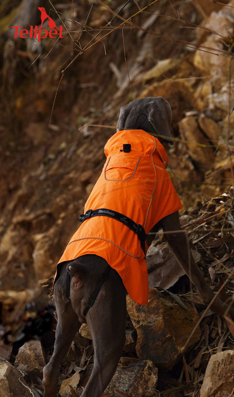 [Australia] - Tellpet Dog Jacket Waterproof Dog Raincoat, Reflective Dog Jacket XXL(Chest:31.5-37.5",Back Length:22") Orange 