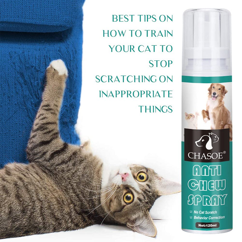 SEGMINISMART Cat Scratch Deterrent Spray,Cat Training Spray,Stop Scratch Training Spray,Cat Scratching Training Spray, for Plants, Furniture and Floor - PawsPlanet Australia