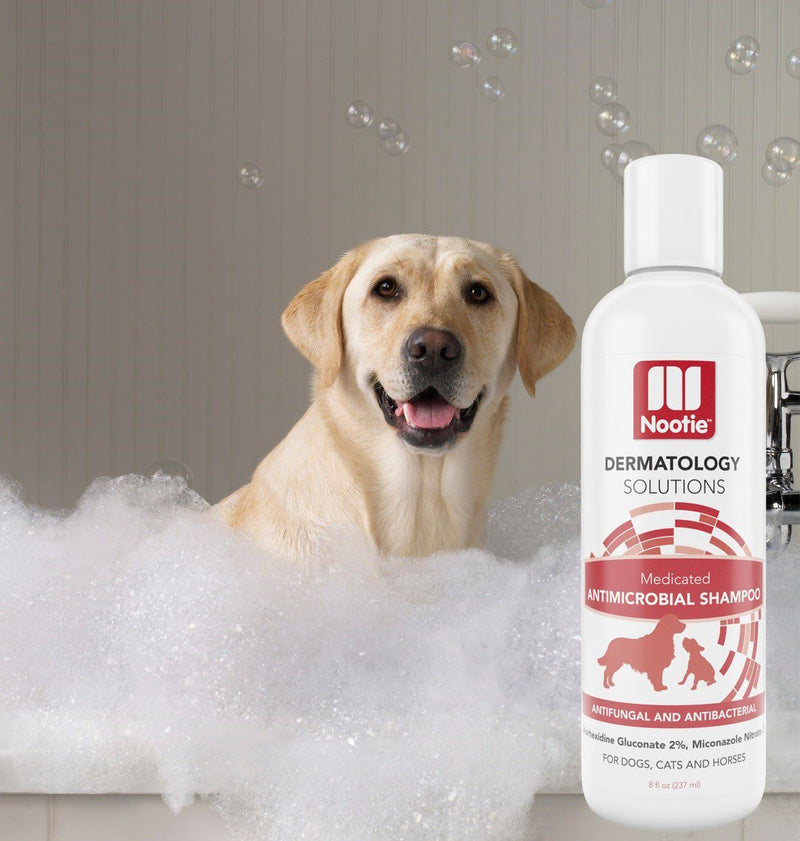 [Australia] - Medicated Dog Shampoo: Antifungal, Antibacterial Dog Shampoo – Lather Then Rinse To Soothe Irritation and Strengthen Coat – Pet Shampoo Also Works On Cats and Horses – Best Dog Shampoo For Your Buck 8 Ounce 