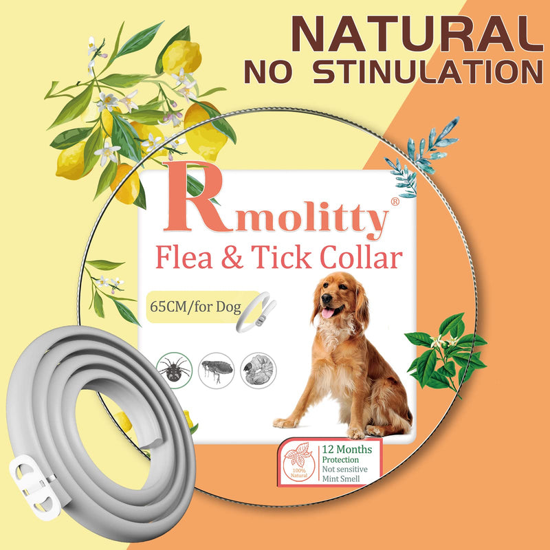 Rmolitty Flea and Tick Collar for Dog, Natural Extract Oil Anti Flea Tick Collar 12 Months Protection for Small Medium Large Dogs (1 pack, dog collar) 1 pack - PawsPlanet Australia