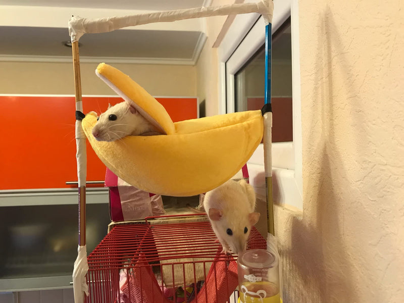 Banana Hamster Bed Hammock Small Animals Mat Hamster Hideout Pet Supplies Cage Accessories for Sugar Glider Hamster Small Pets Habitats Green - PawsPlanet Australia