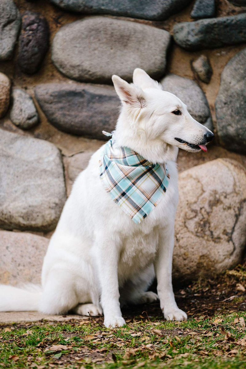 Willowear Plaid Dog Bandanas - Cotton Adjustable Tie On Scarf with Trendy Frayed Edges for Small Medium Large XLarge Dogs Puppies Pets River - PawsPlanet Australia