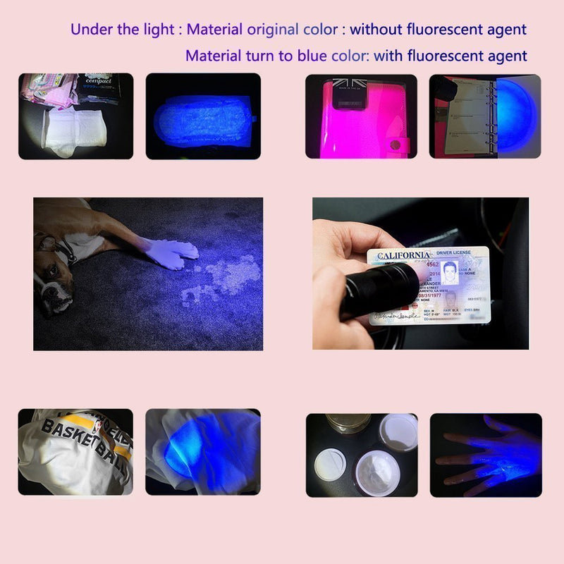 [Australia] - KMASHI 12 LED Pet UV Light Urine Stain Detector Blacklight Flashlight 