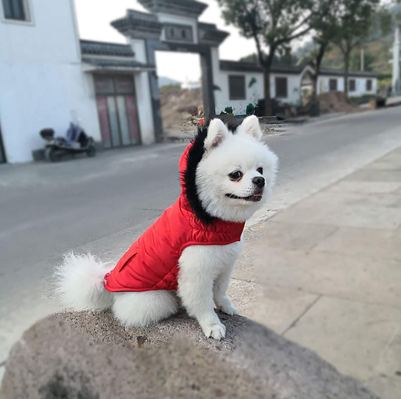 Ctomche Dog Jacket(Warm Fleece+Cotton Lining Dog Hoodie in Winter),Medium Dogs Jacket,Warm Winter Coat for Dogs,Windproof Snowproof Winter Vest Clothes for Small and Medium Dogs Medium (Length: 32CM) Red - PawsPlanet Australia