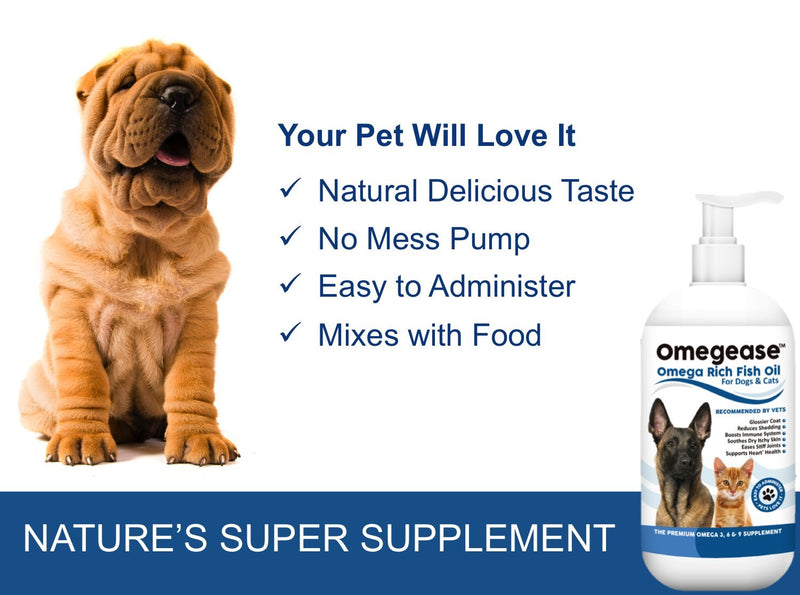 100% Pure Omega 3, 6 & 9 Fish Oil for Dogs and Cats - Best For Skin, Coat, Joint, Heart & Brain Health. Soothes Itches. From Wild Caught Fish - Better Source of DHA & EPA Than Farmed Scottish Salmon Oil. 500 ml (Pack of 1) - PawsPlanet Australia