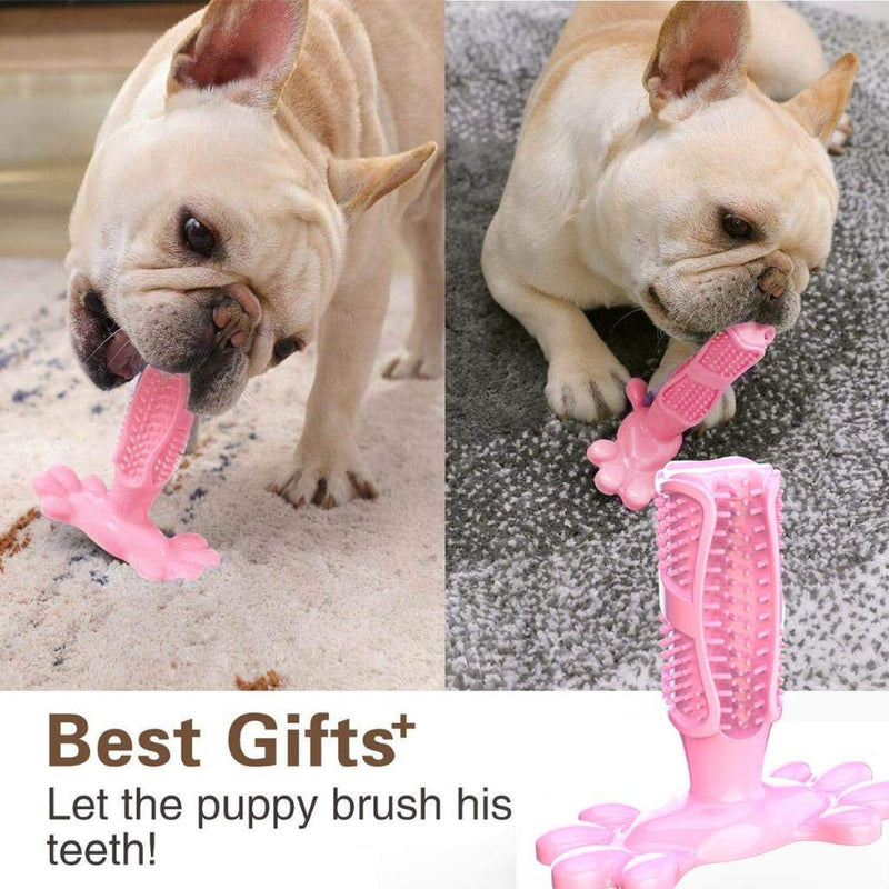 Non-Toxic Dog Chew Toys Natural Rubber Toothbrush Stick Dog Toys Teething Pet Toys Teeth Cleaning Dental Care for Small Dogs Pet Toys Puppy Toys L Pk - PawsPlanet Australia