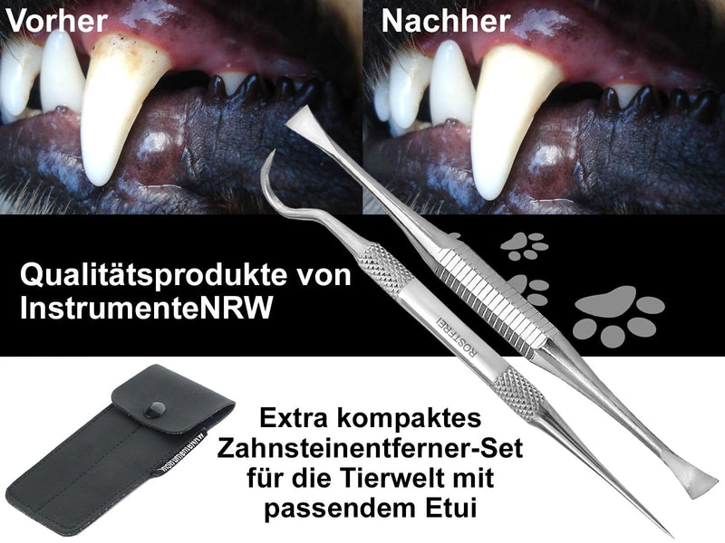 Dog Mini Tartar Scraper Tartar Remover Set with Case Toothpick Tooth Cleaner Pet Dental Care for Animals Made of Stainless Steel Also for cats or rabbits as teeth cleaning - PawsPlanet Australia