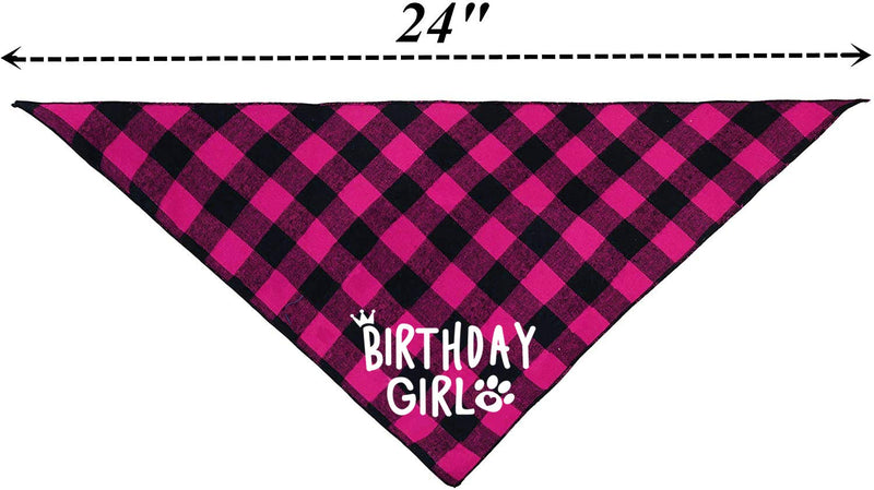 Birthday Girl Dog Bandana - PawsPlanet Australia