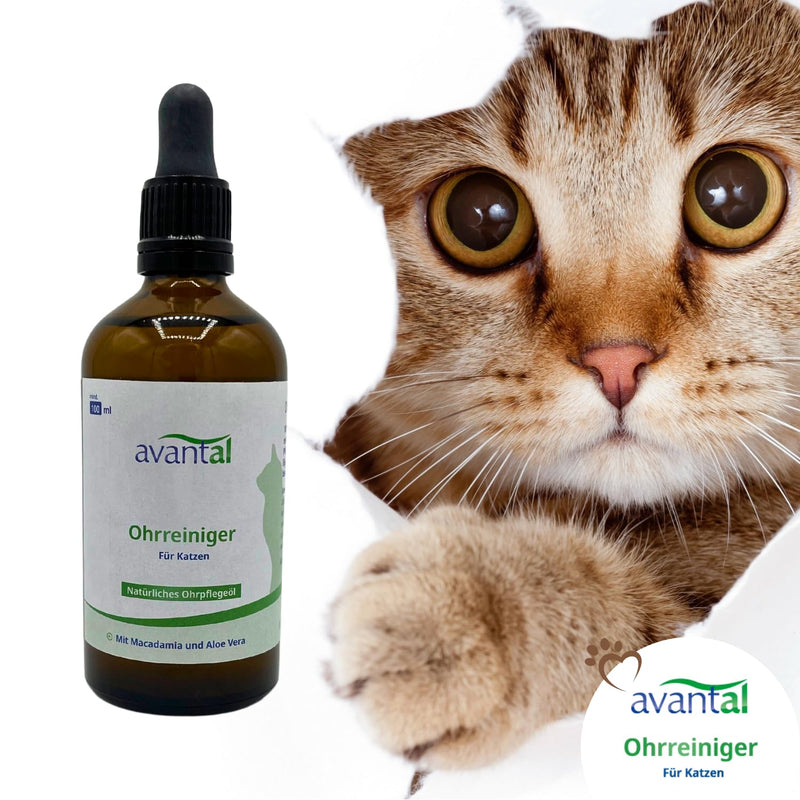 avantal Natural ear care oil 100ml for cats with macadamia oil and aloe vera, helps with ear mites, gentle care for itching in the ear and mites, gently cleanses the ear - PawsPlanet Australia