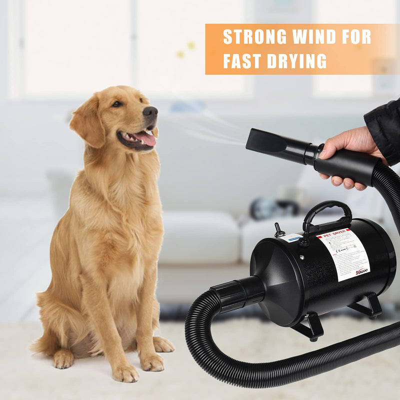 DAWOO 2800W Dog Hair Dryer Blaster Pet Grooming Hair Dryer High Velocity Motorbike Dryer Low Noise Temperature Heater with 2.5M Flexible Hose and 3 Nozzles (Black XK) Black XK - PawsPlanet Australia