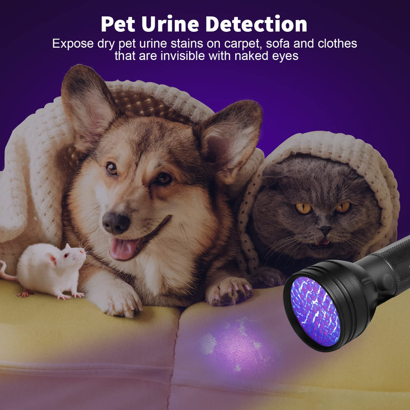Escolite UV Flashlight Black Light, 51 LED 395 nM Ultraviolet Blacklight Detector for Dog Urine, Pet Stains and Bed Bug 1 Count (Pack of 1) - PawsPlanet Australia