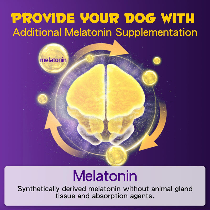 Sleep Aid for Dogs, Melatonin for Dogs, Dog Melatonin Drops Supports Dog Sleep, Dog Anxiety Relief, Calming Dogs and Regulates Sleep Patterns - Pet Supplements Liquid Vitamins, Bacon Flavour - 2 Fl Oz - PawsPlanet Australia