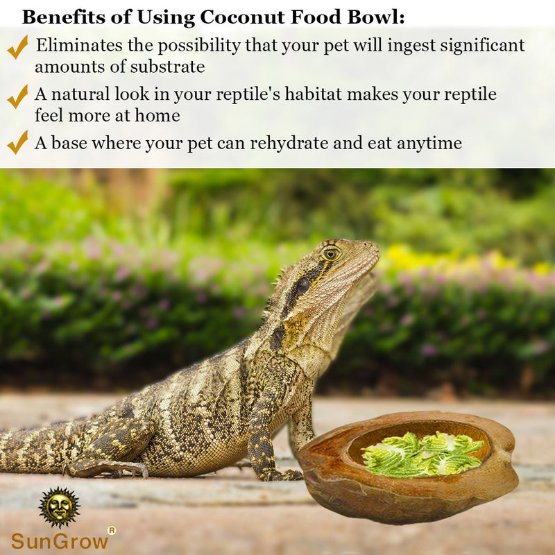 [Australia] - SunGrow Reptile Food Bowl, 4.5x5.5 Inches, Unbreakable Half Coconut Shell with Husk, Tank Décor and Humidifier for Bearded Dragons, Tortoise, Snakes, Bullfrogs 