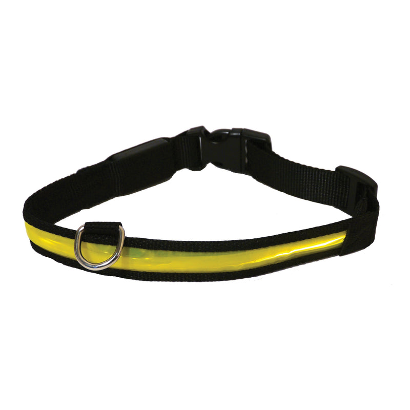 Rosewood Reflective Safety Range Premium Flashing Collar, S, Yellow Small - PawsPlanet Australia