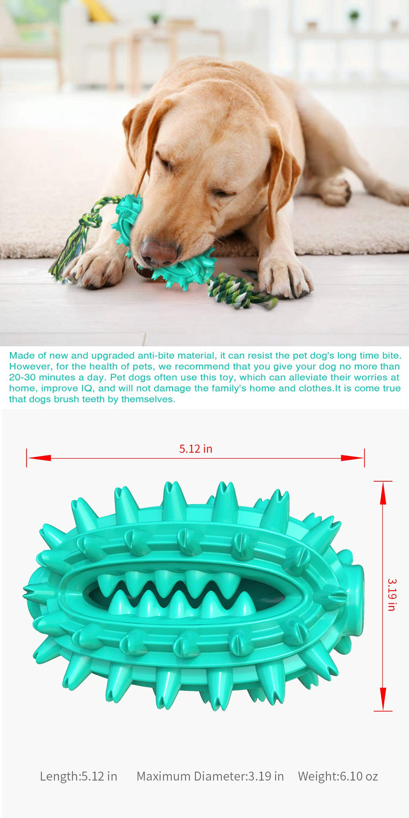 Dog Toothbrush, Cactus Shaped Dog Chew Toys with Natural Cotton Rope, Durable Rubber Puppy Teeth Cleaning Chew Toys for Small Medium and Large Dogs - PawsPlanet Australia