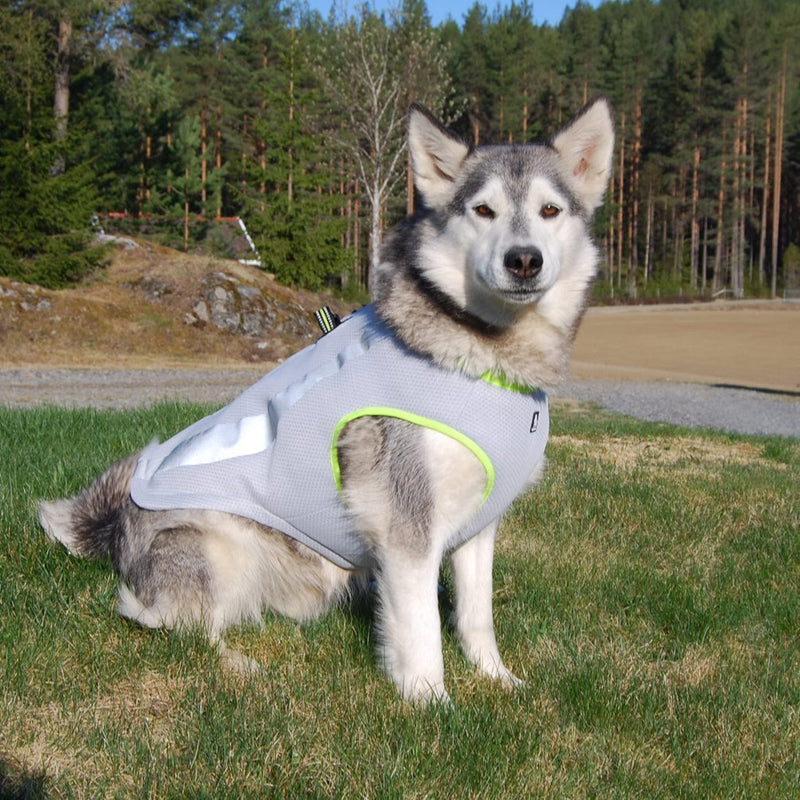 SGODA Dog Cooling Vest Harness Cooler Jacket XX-Small Chest 12-14" grey with green - PawsPlanet Australia