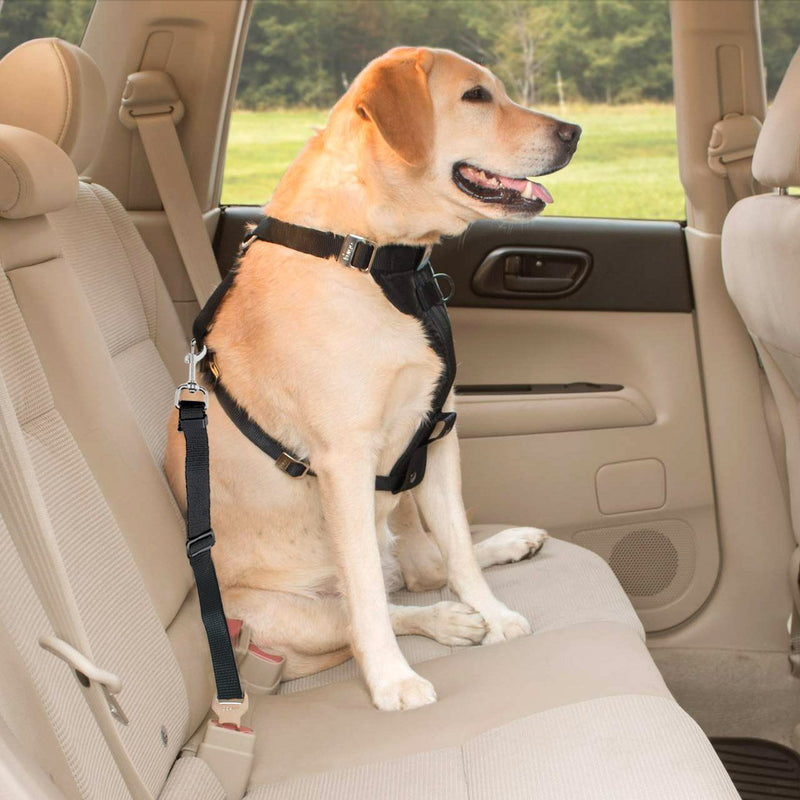 [Australia] - Magik 3 PCS Adjustable Pet Dog Cat Car Seat Belt Safety Leads Vehicle Seat Belt Harness Black 