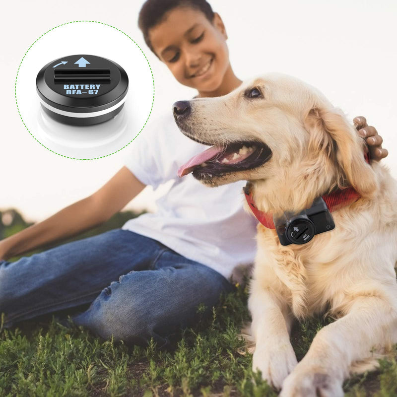 EBL 10 Pack RFA-67 6 Volt Pet Collar Replacement Batteries, Ultra Fit PIF-300 RF300 PIF-275-19 PRF-3004W PUL-250 - PawsPlanet Australia