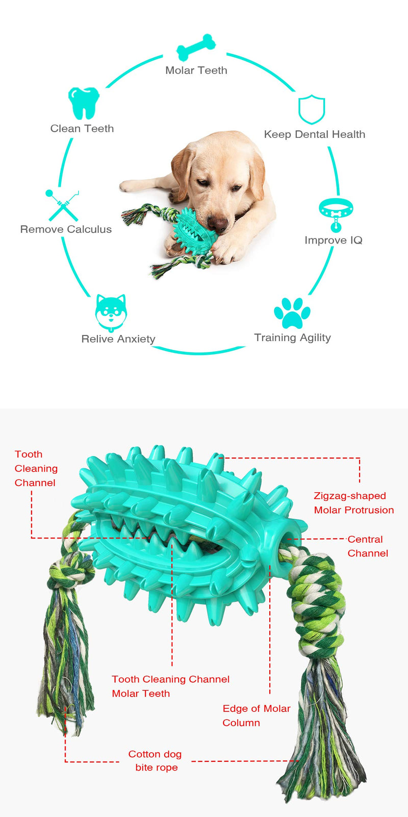 Dog Toothbrush, Cactus Shaped Dog Chew Toys with Natural Cotton Rope, Durable Rubber Puppy Teeth Cleaning Chew Toys for Small Medium and Large Dogs - PawsPlanet Australia