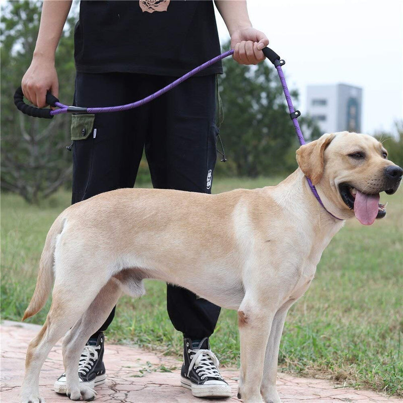 'N/A' Strong Dog Leash 5FT with Padded Handle, Mountain Climbing Rope Twist Dog Lead for Small Medium Large Dogs, Reflective Threads Nylon Durable Dog Leash (Red) Red - PawsPlanet Australia