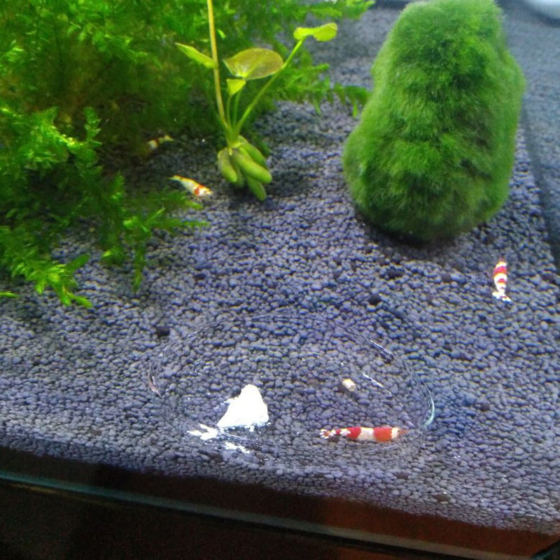 [Australia] - Senzeal 2X Aquarium Glass Shrimp Feeding Dish Bowls Reptiles Water Food Dish Feeder Bowl Round 