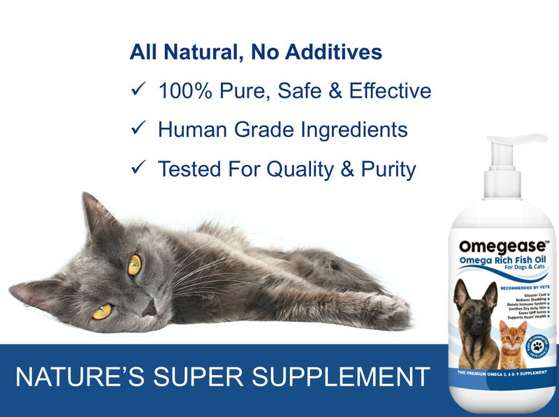 100% Pure Omega 3, 6 & 9 Fish Oil for Dogs and Cats - Best For Skin, Coat, Joint, Heart & Brain Health. Soothes Itches. From Wild Caught Fish - Better Source of DHA & EPA Than Farmed Scottish Salmon Oil. 500 ml (Pack of 1) - PawsPlanet Australia