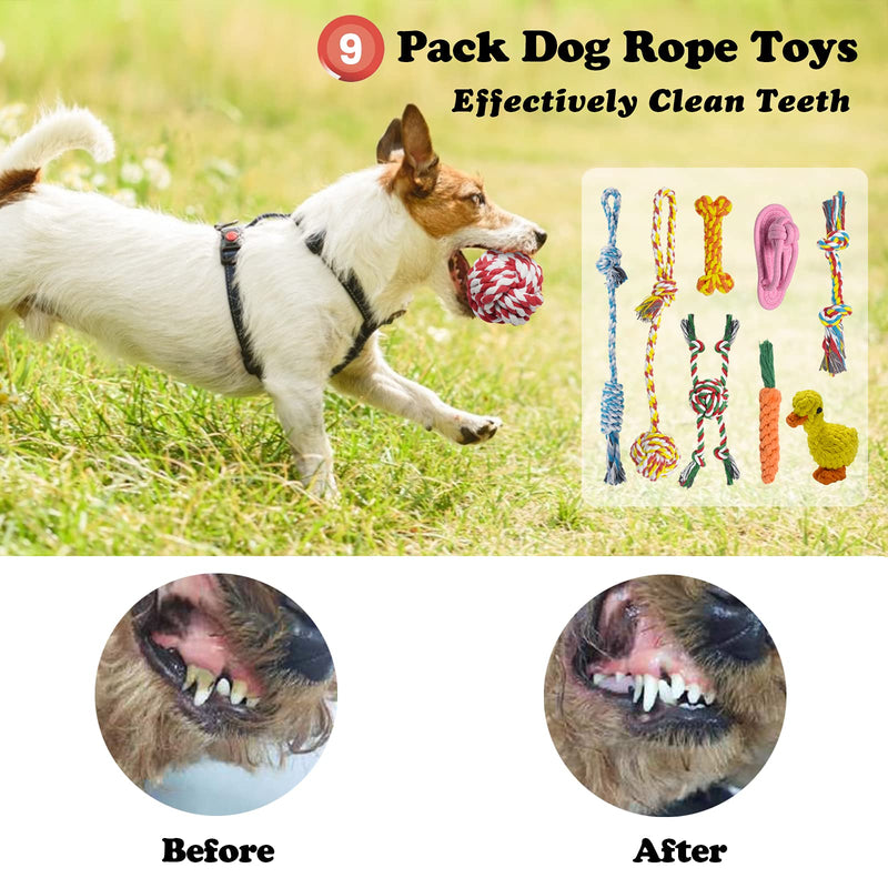 Dog Rope Toy, Durable Dog Toys for Aggressive Chewers, 9 Pack Puppy Teething Tough Dog Chew Toys, Indestructible Dog Toys for Small-Medium Dogs Interactive to Prevent Pet Boredom - PawsPlanet Australia