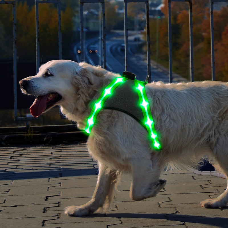 ChalkLit LED Dog Harness, Luminous Rechargeable Illuminated Reflective Dog Harness Glows in the Dark, LED Dog Safety Vest Lights for Night Walks (Green, L) Green - PawsPlanet Australia
